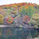 라 까시나 이태리 이미지