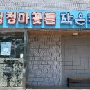 둔덕청마꽃들작은도서관 이미지