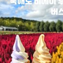 글로벌비에이