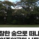 용인중앙공원_M 이미지