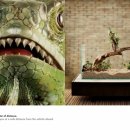 ACC 시스템 이미지