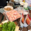 삼겹살과친구들 | 음식 반입 가능 강아지 수영장 [도그스포지움] 슈나 친구들과 삼겹살 파티부터 프리존 솔직후기까지 🥩🏊‍♂️