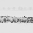 양양산업㈜ 이미지