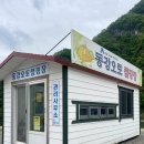 동강오토캠핑장 화장실 | 영월 동강 오토캠핑장 C-07 내돈내산 후기(우중 캠핑, 별마로 천문대)