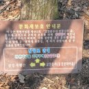 홍길동테마파크 이미지