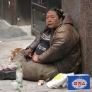 만화제 이미지