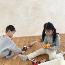 관저중로 | 대전 관저의 매력적인 스튜디오, 시월의 사진관 관저점 후기!
