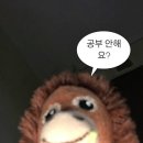 빈둥 이미지