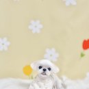 멍테소리 이미지