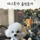 오독오독