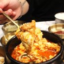 돈백꽃서귀포점 이미지