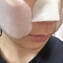 속살 티스토리