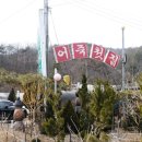 닭이랑 삼이랑