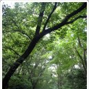 전남여관 이미지