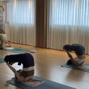 [위아요가/아차산역 요가]PMS에 대처하는 자세 이미지