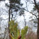 효경농장 이미지