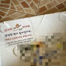 소락 | 배송 보리빵 소락 보리롤 보슬팡 내돈내산 솔직 후기