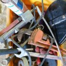 왕진농장 이미지