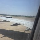 비올레띠 | 제주도 1편 - 패키지여행 간접 체험함 (우진해장국 올레시장염무화 달인수산 서귀포매일올레시장 맛집)