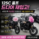 성원모터스 - 논산시 계백로 922 | [공지] 125C 울프 드디어 재입고! 사이드백 무상증정 프로모션 9월 30일까지 연장