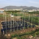 삼조농장 이미지