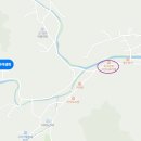 개울가에핀야생화 - 용인시 수지구 이종무로 112 | 개울가에핀야생화