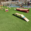 골드스푼
