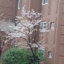 지에스(GS)25 아주운동장점 이미지