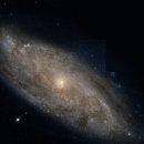 물고기자리 이미지