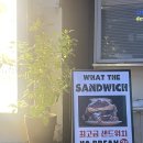 타임 샌드위치(Time Sandwich) | 동명동 델리셔스샌드위치 | jmt 샌디치 내돈내산 후기