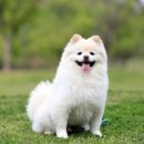 서울하이동물의료센터 이미지