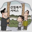 2021년 산림복지바우처 카드 신청 및 사용처 이미지