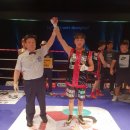 복싱프라자 이미지