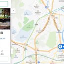 플레이티카 이미지