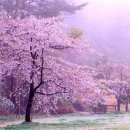 사랑길펜션 이미지