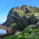 한림종합정비 | 제주여행 2박3일 코스 자연과 감성 장소추천 음식 숙박 팁