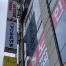 피알리아 네이버블로그