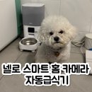 강아지 자동급식기 넬로 스마트 급식기 추천 하루 세끼 루틴 완벽 관리