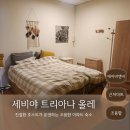 트리아나 - 광명시 철망산로 87 | 세비야 에어비앤비 숙소 추천 트리아나 올레 Triana Olé 신혼여행 조용한 아파트 투숙 후기