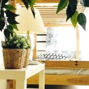 로얄여관 이미지