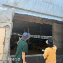 고창축산 이미지