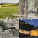 신기농장 | 전북 고창 봄에 가볼 만한 곳 BEST 5