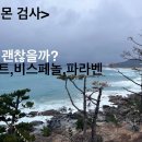 염색 샴푸 안전한가? 환경 호르몬검사(프탈레이트, 비스페놀, 파라벤)를 통해 확인 이미지