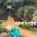 타이페이여행 아이와 예스지투어, 평일 가야 하는 진짜 이유