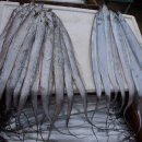 부남약국 이미지