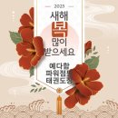 용인대예다함태권도장 이미지