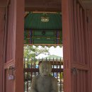 보건소앞~청룡리 이미지