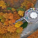 국보산삼오리 이미지