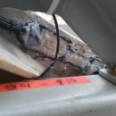 (주)앤시앤 이미지