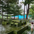 팍스디엠지 이미지